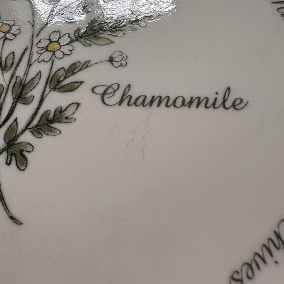 Corelle Thymeless Herbs Collection Set of 2 Chamomile Salad Plates 8 1/2" Pair - Picture 3 of 8